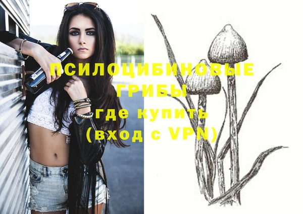 ECSTASY Протвино